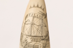 Scrimshaw_2624